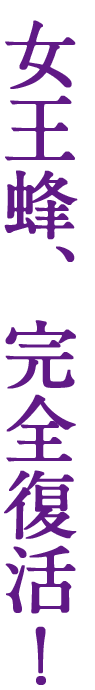 女王蜂、完全復活！